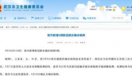 武汉核酸最新爆料通知,揭秘病毒检测背后的真相与挑战