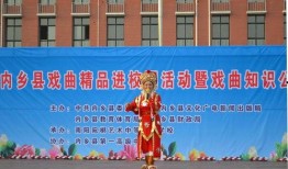 内乡一高最新爆料新闻,揭秘校园热点事件背后的真相