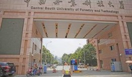 长沙大学最新爆料事件,校园事件引发社会关注